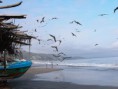 /album/provincia-de-santa-elena/a4277990555-7d34c719e3-1-jpg/